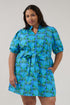 Genia Shift Mini Dress Peacock Curve