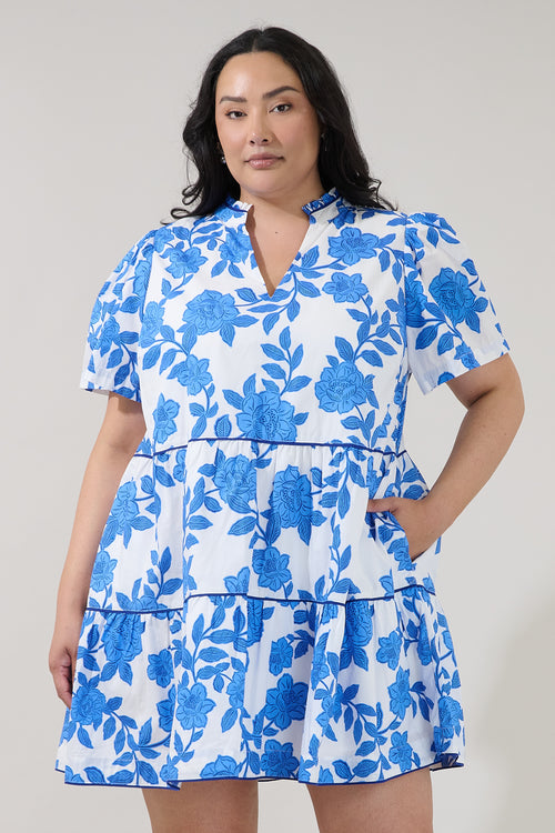 Curve Dresses