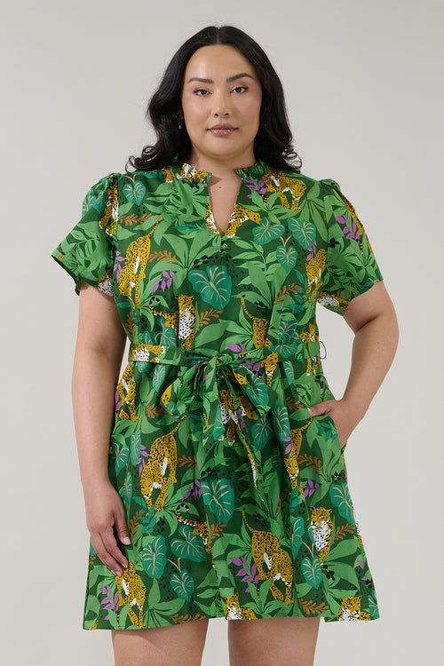 Curve Dresses