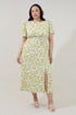 Bloom Midi Dress Floral Curve