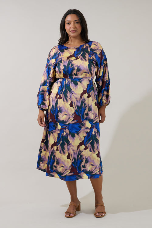 Curve Dresses