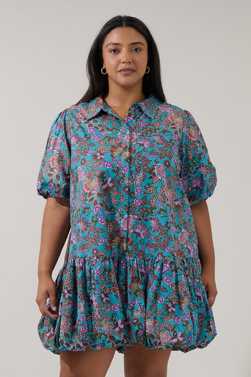 Curve Dresses