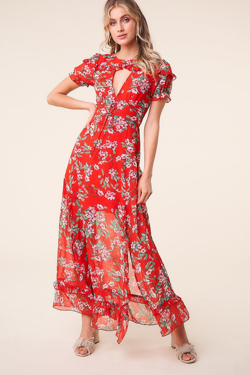 Rustic Rose Floral Maxi Dress – Sugarlips