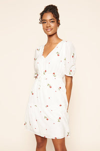 Emagine Embroidered Floral Mini Dress