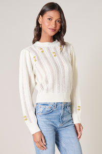 Emiliana Floral Embroidered Pointelle Sweater