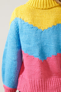 Ashbury Chunky Color Block Turtleneck Sweater