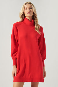Arianne Turtleneck Sweater Dress