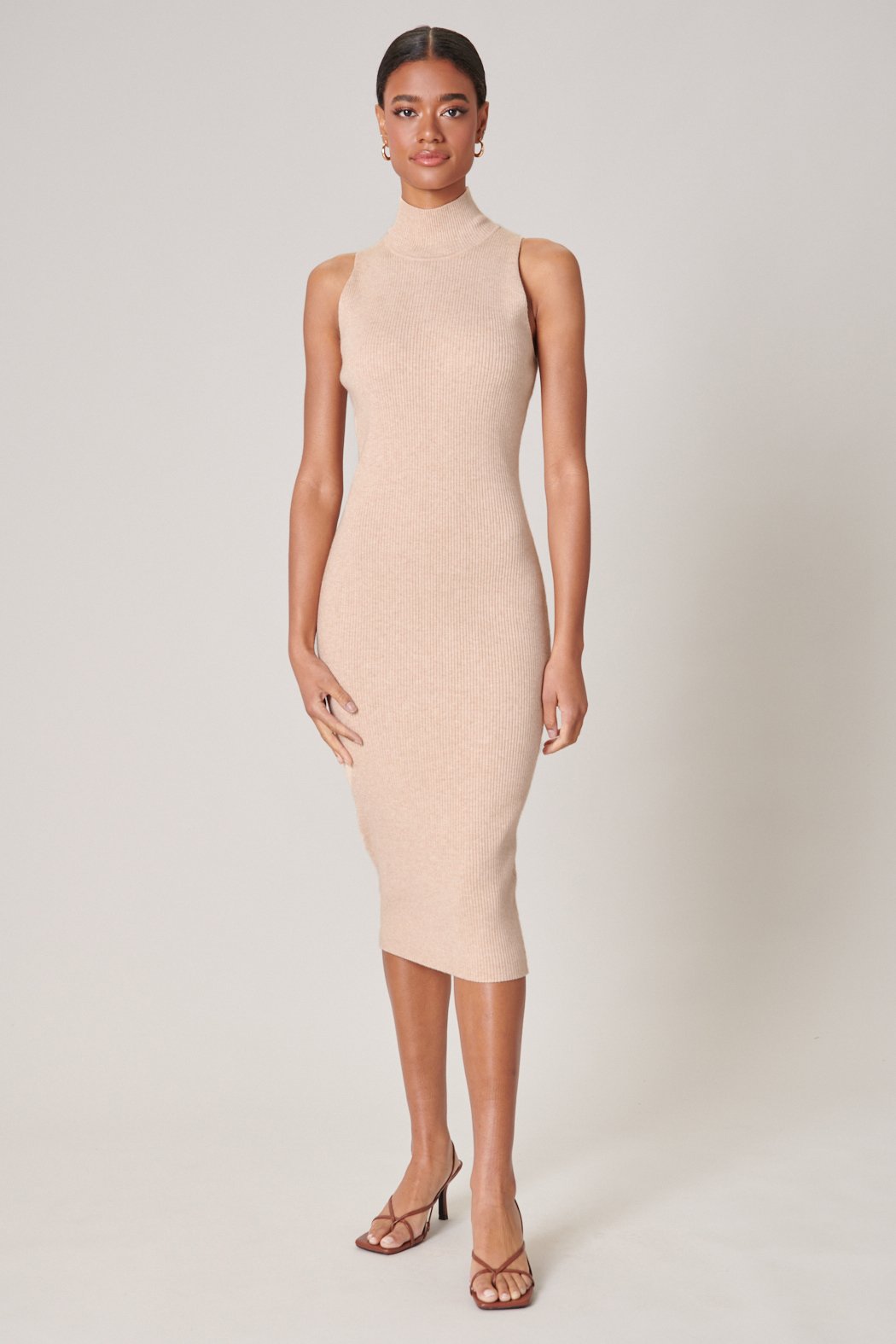 Kieran Ribbed Knit Turtleneck Sweater Dress – Sugarlips