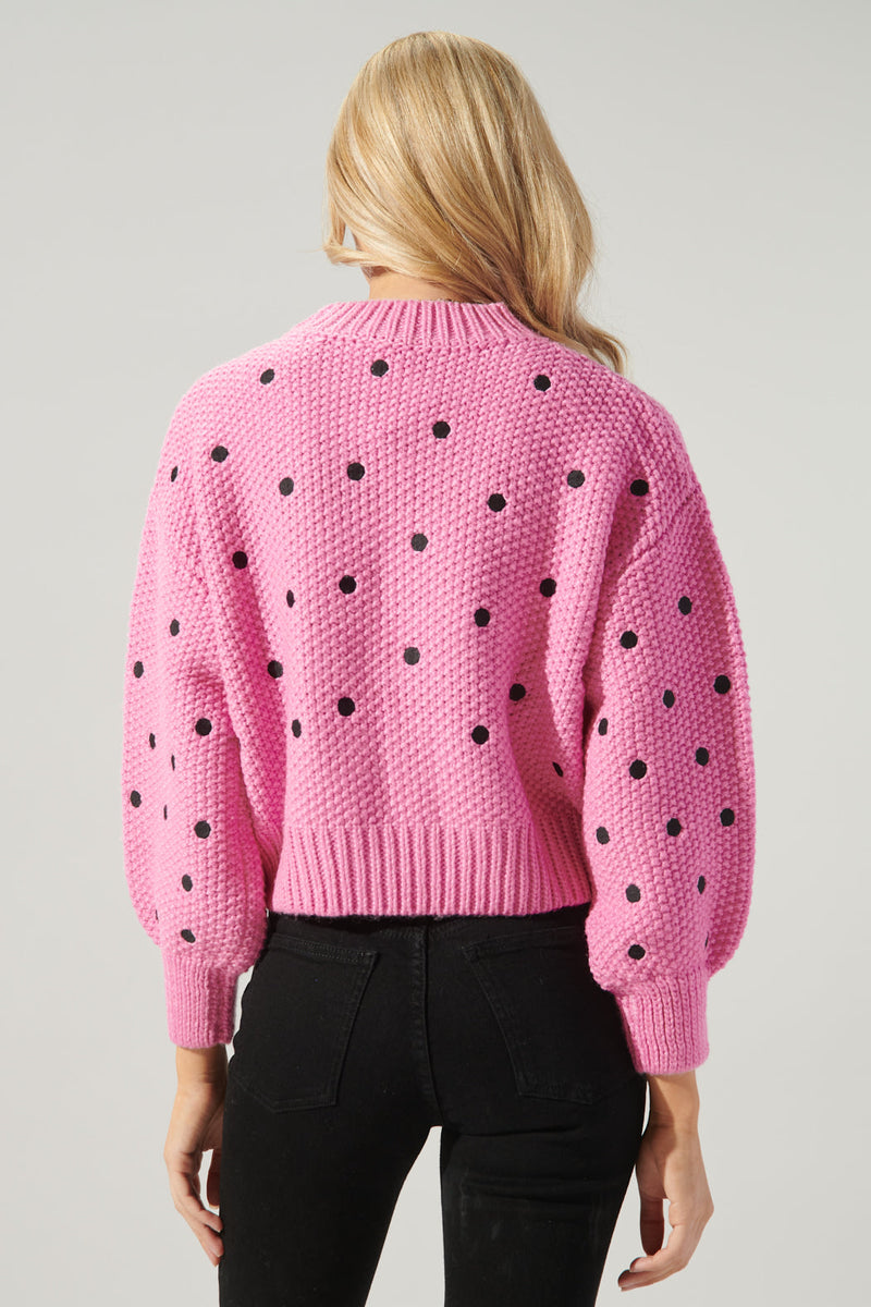 Minnie Embroidered Dot Sweater – Sugarlips