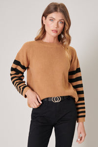 Allspice Stripe Sleeve Sweater